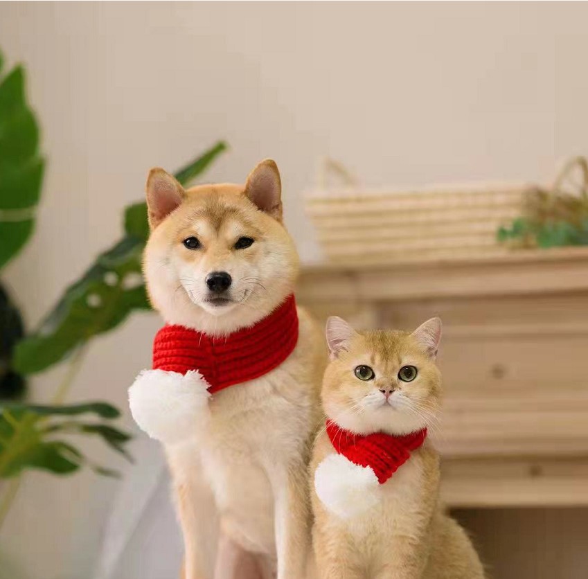 Pet  Scarf Cat and Dog Scarf Big Dog Scarf Pet Year Red Scarf Cat Scarf Pet  Articles Pets Accessories