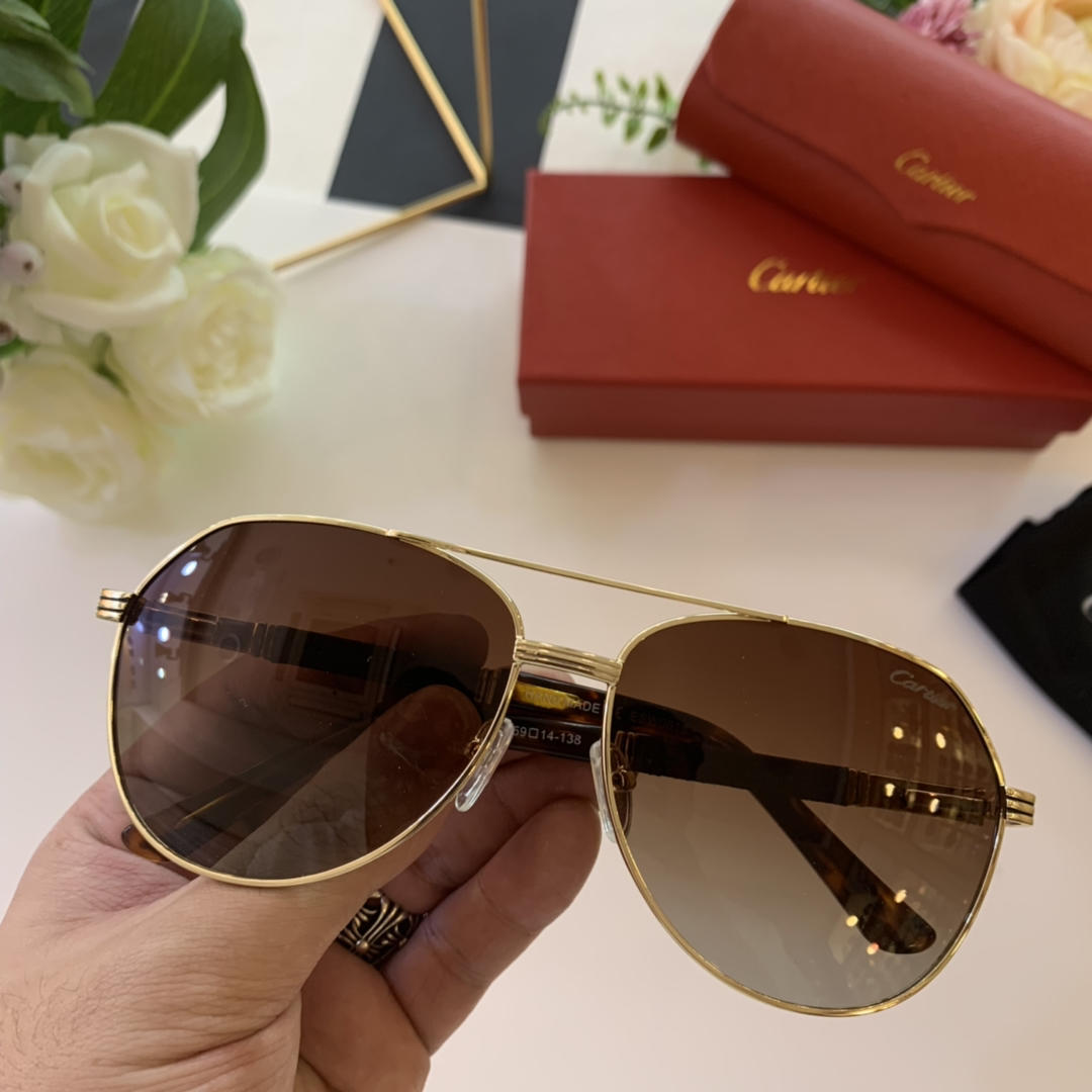 Cartier Men’s Sunglasses ASS650037