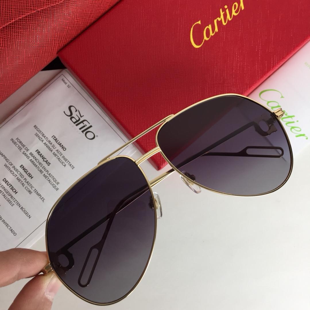 Cartier Men’s Sunglasses ASS650040